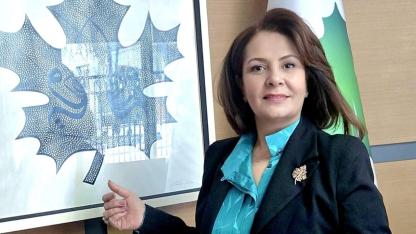 Türktekin:''Bir Zirve Uğruna Demokrasiyi Askıya Almak!''