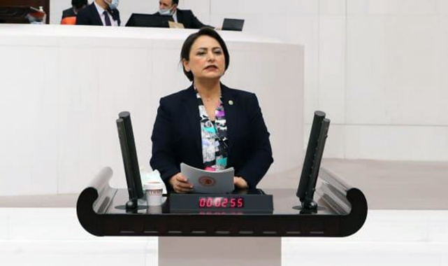 Müzeyyen Şevkin, Adana'nın Sorunlarını Meclise Taşıdı!